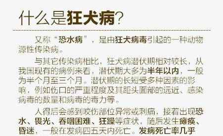 中國貓狂犬病致死案例 男孩被狗咬后去世原因及始末詳情曝光 被貓狗咬傷以后要怎么做？