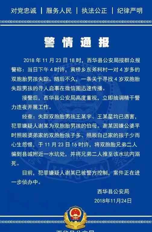 西華雙胞胎被害 周口4歲雙胞胎溺水身亡，兇手為孩子的伯母作案動(dòng)機(jī)曝光太震驚