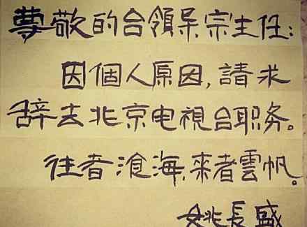 央視新聞主持人名單大全 央視離職主持人名單 爆主持人離職內(nèi)幕