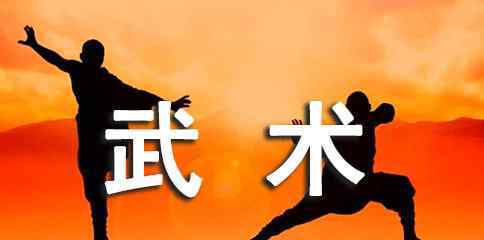 武功心法 武術(shù)基本功練習(xí)心法