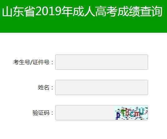  2019年山東濟(jì)南成人高考成績查詢?nèi)肟冢ㄒ验_通）