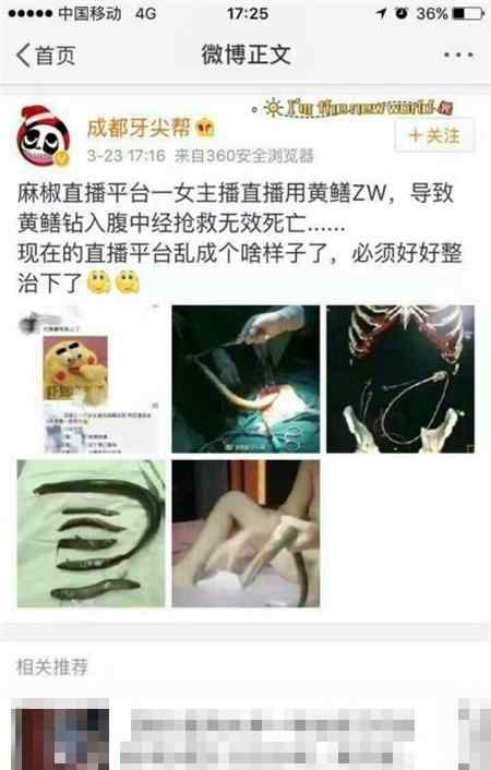 鱔 男人都是鱔變的圖片 為什么說男人都是鱔變的