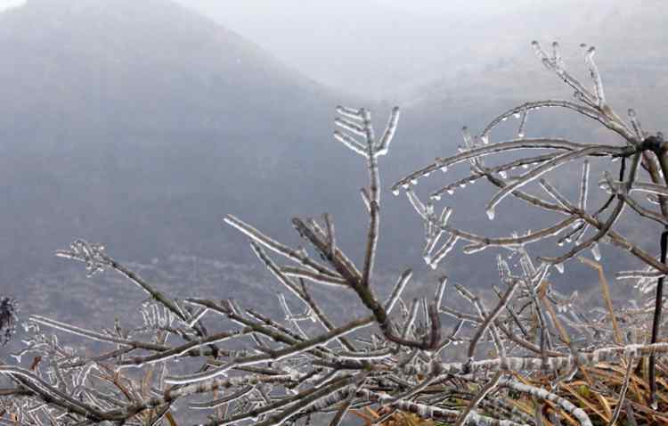 超級寒潮 2016年超級寒潮帶來的第一場雪