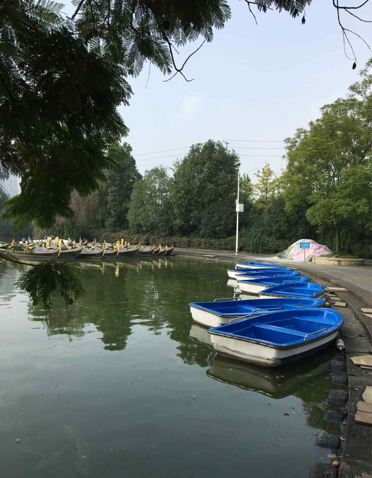 華陽南湖公園 成都南湖公園