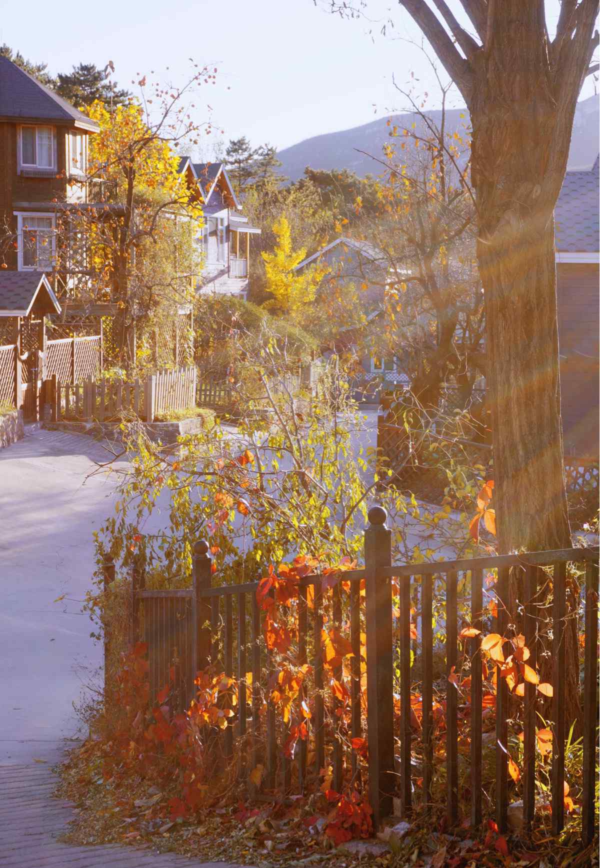 地主家的余糧 【山居日記】～地主家的余糧