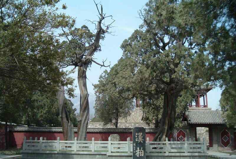 李柯 岱廟游記——李柯