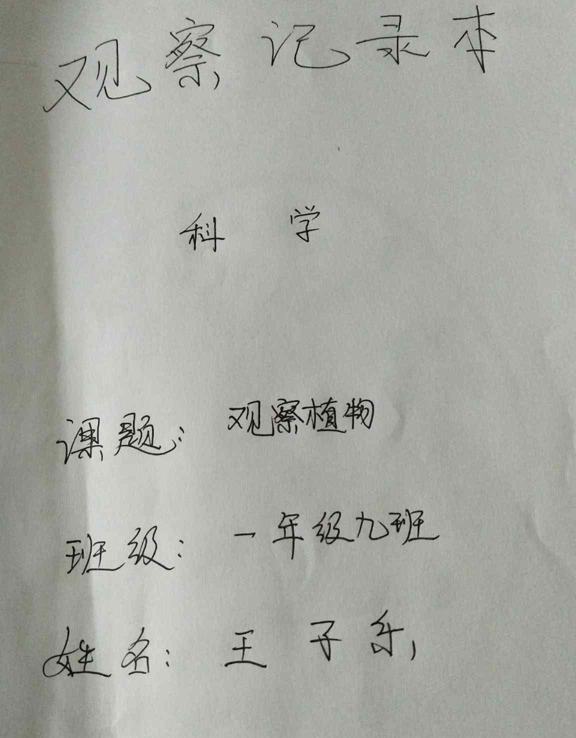 豆苗 觀察豆苗生長(zhǎng)記