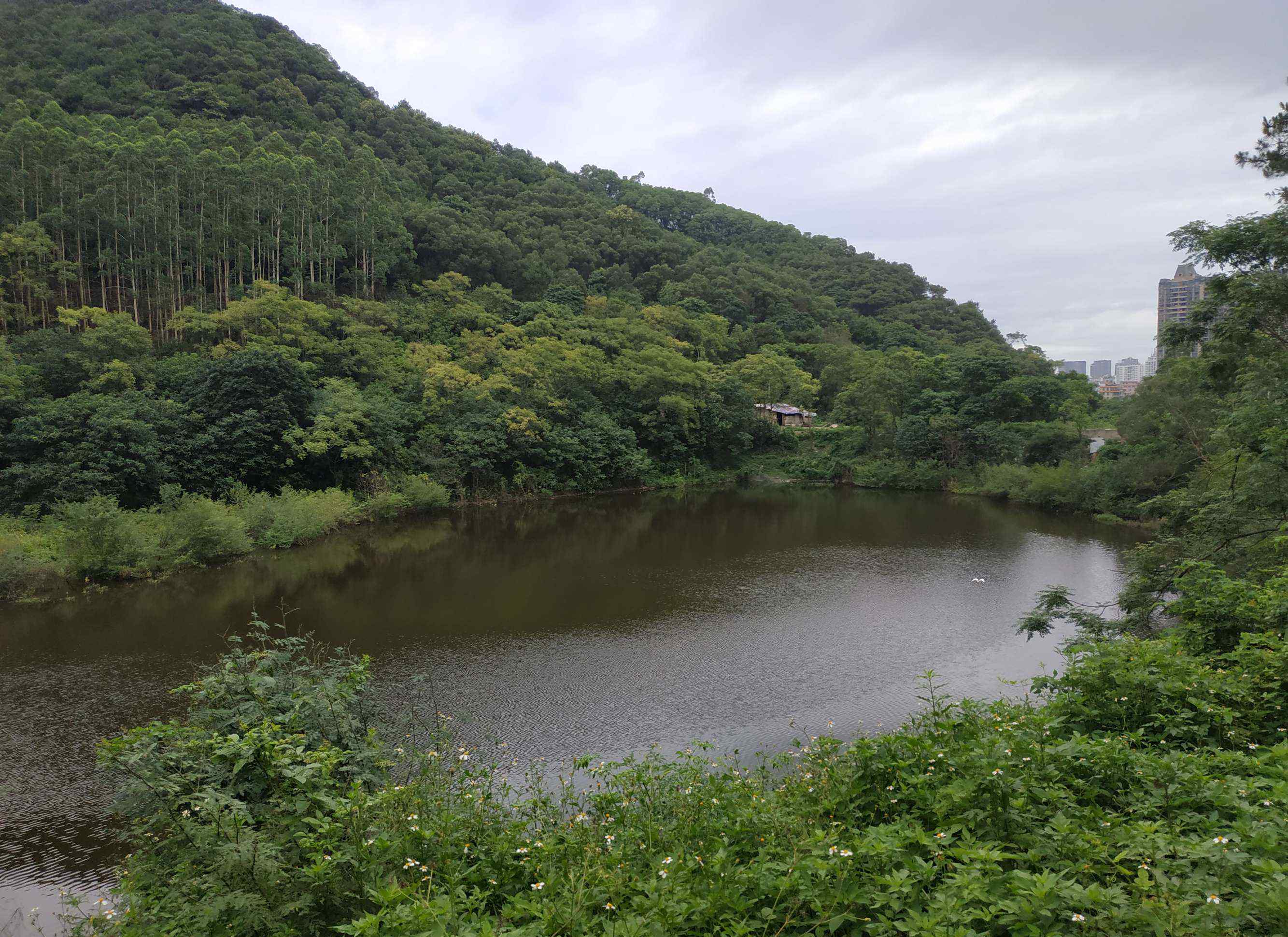 萬達茂 五象基地總部休閑公園/南寧萬達茂游記/五象森林公園