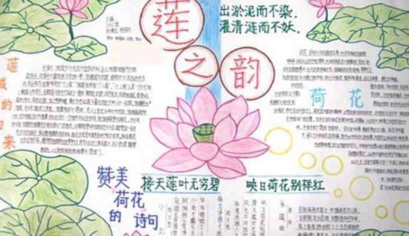 關(guān)于花的圖片 以花為主題的手抄報圖片大全