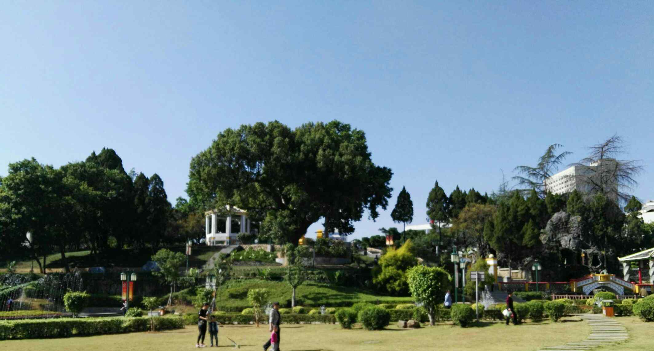 龍巖中山公園 龍巖中山公園的故事