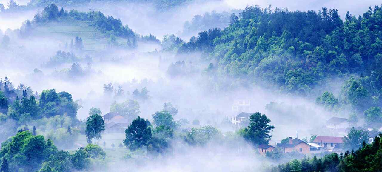 霧花 霧花