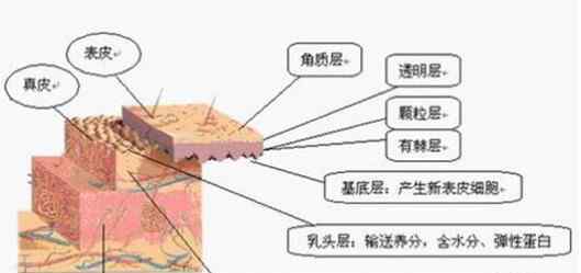 瑞倪維兒化妝品 為什么化妝品要買整套？瑞倪維兒各種套盒的功效和用法