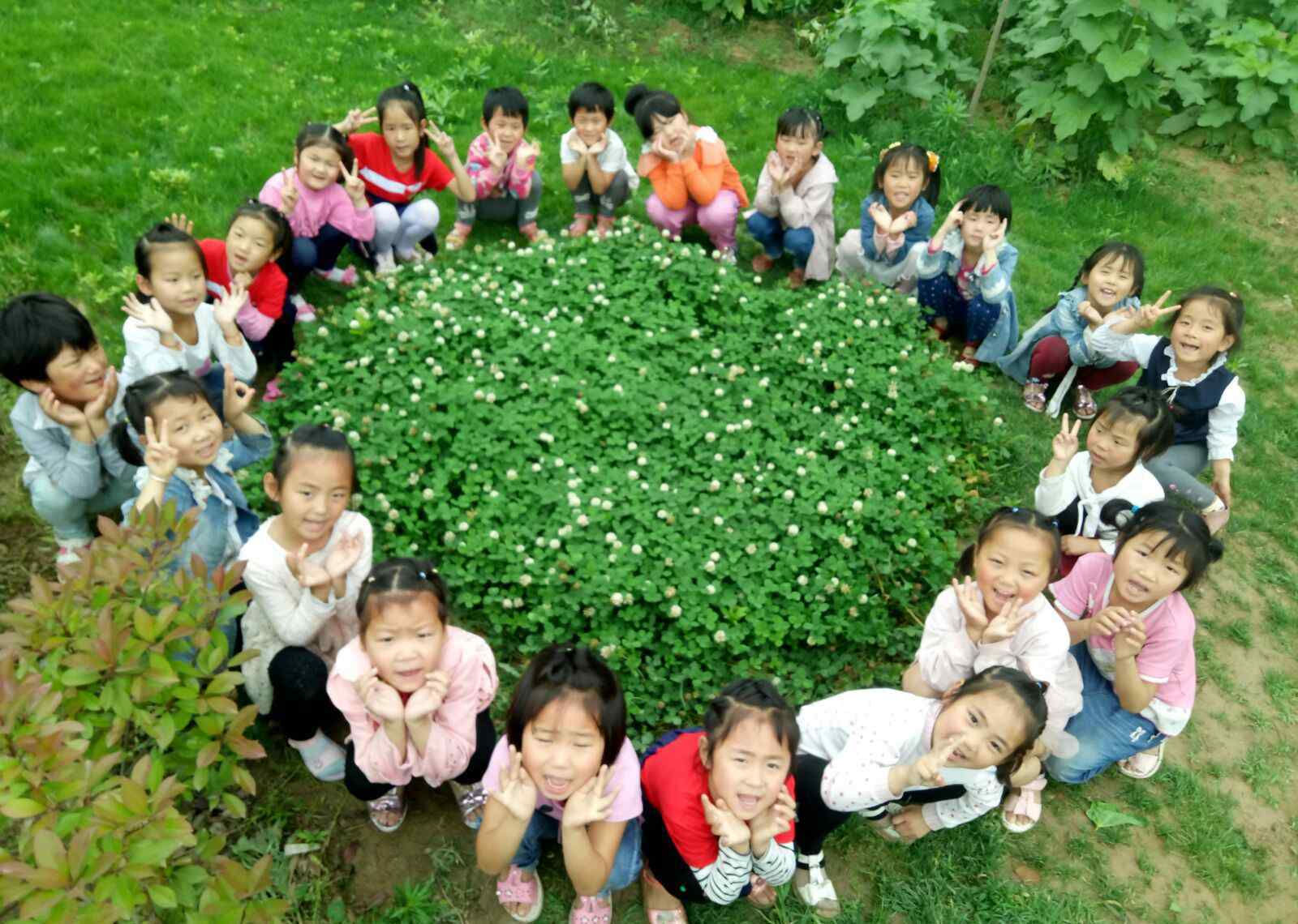 幼兒園感恩節(jié)活動 澤眾幼兒園感恩節(jié)活動——感恩有您