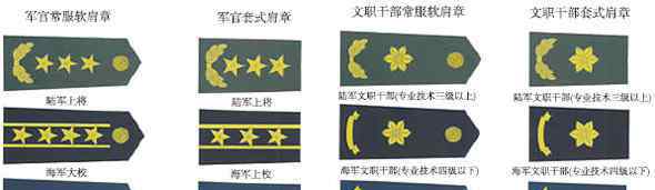 三個正軍級大校 文職干部技術級別與軍銜級別