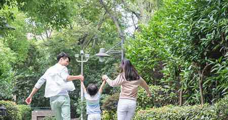 斑馬線 幼兒園斑馬線教案