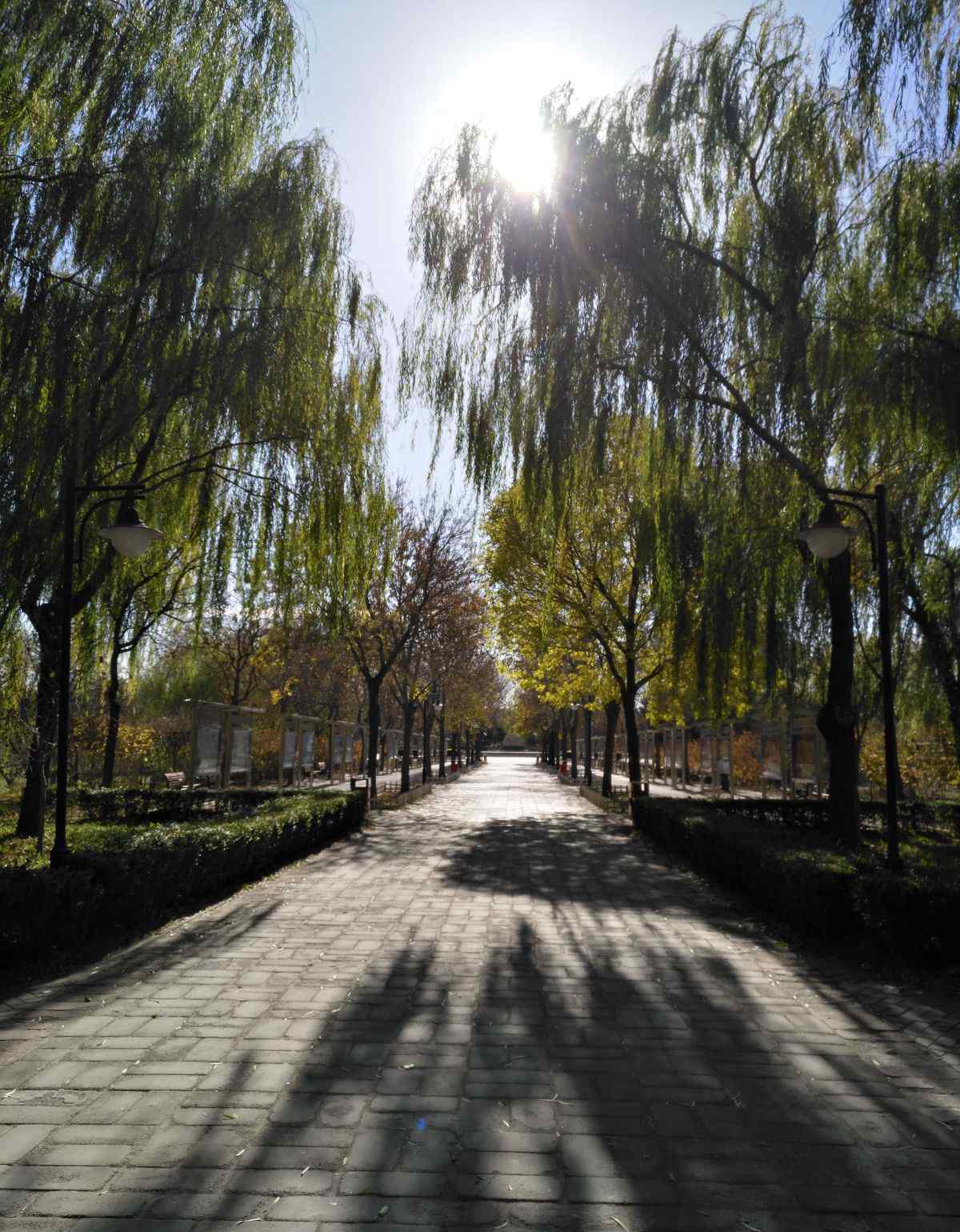 東壩郊野公園 休閑散步好去處——北京東壩郊野公園