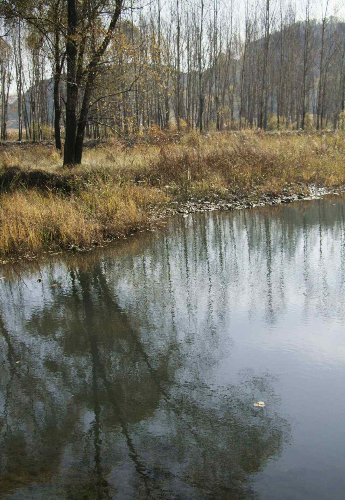 方山森林公園 壽陽方山森林公園