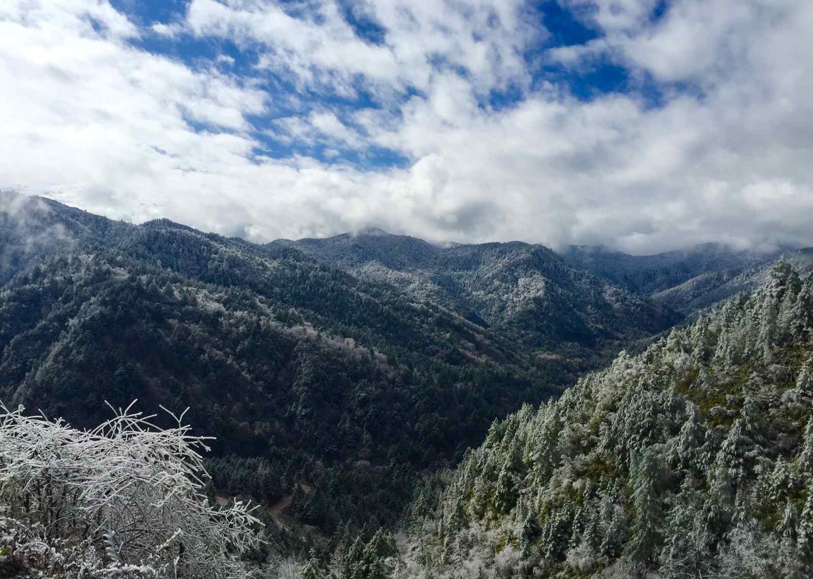 彝族年 大涼山的彝族年