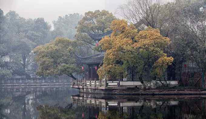 月湖公園 寧波游記月湖公園