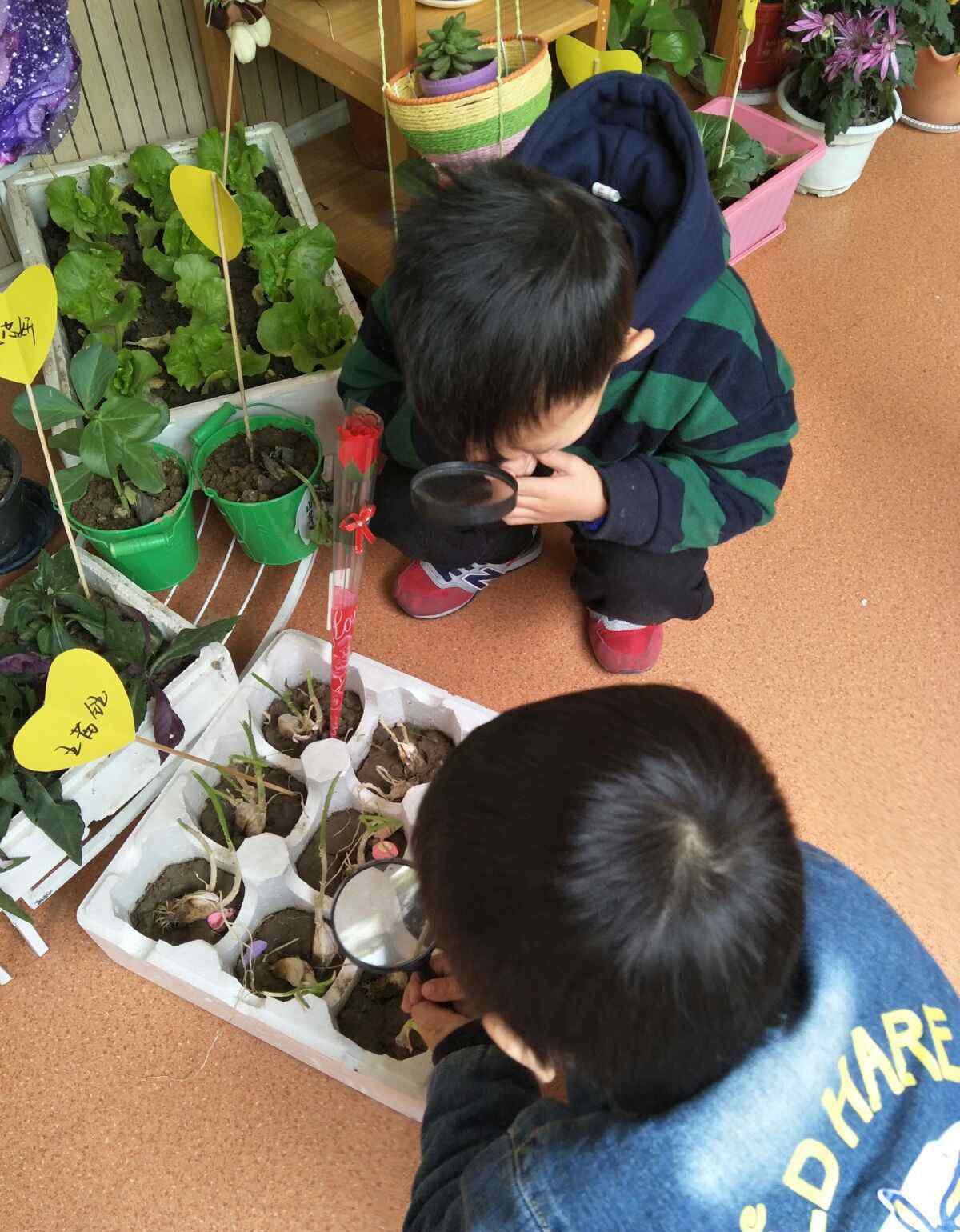 小園丁 我是勤勞的小園丁