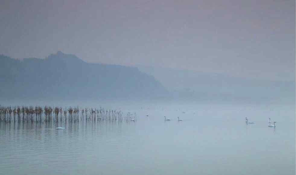 山西平陸縣 山西平陸天鵝湖景區(qū)