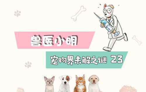 辟謠！狗狗打了狂犬疫苗咬人了沒事？別讓你的無知害了自己