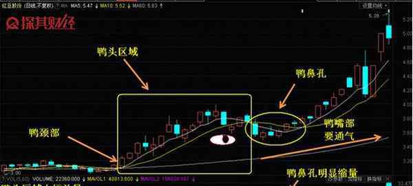 股票老鴨頭形態(tài)圖解 老鴨頭戰(zhàn)法是什么 圖文詳解