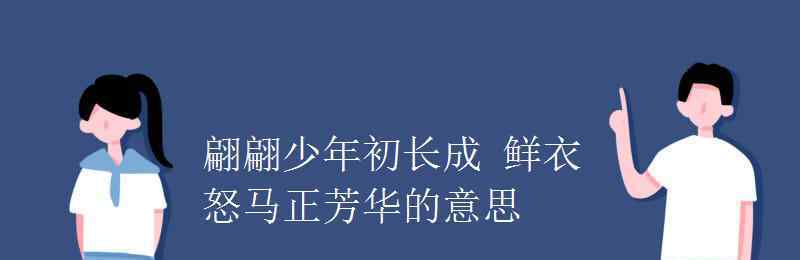 翩翩少年 翩翩少年初長成 鮮衣怒馬正芳華的意思