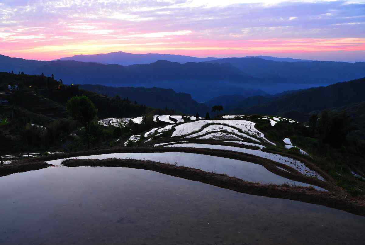 花瑤梯田 美 麗 的 山 背 花 瑤 梯 田