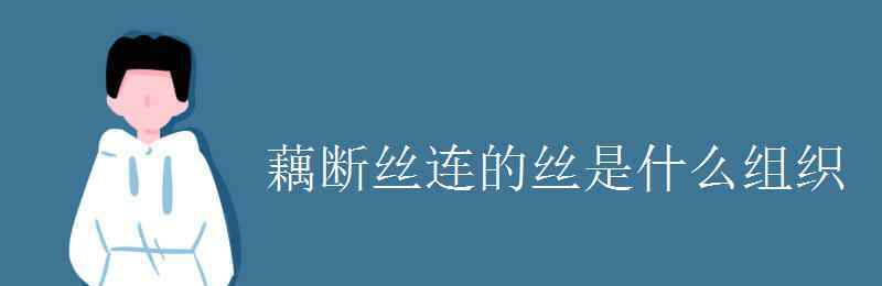 藕斷絲連的絲是什么組織 藕斷絲連的絲是什么組織