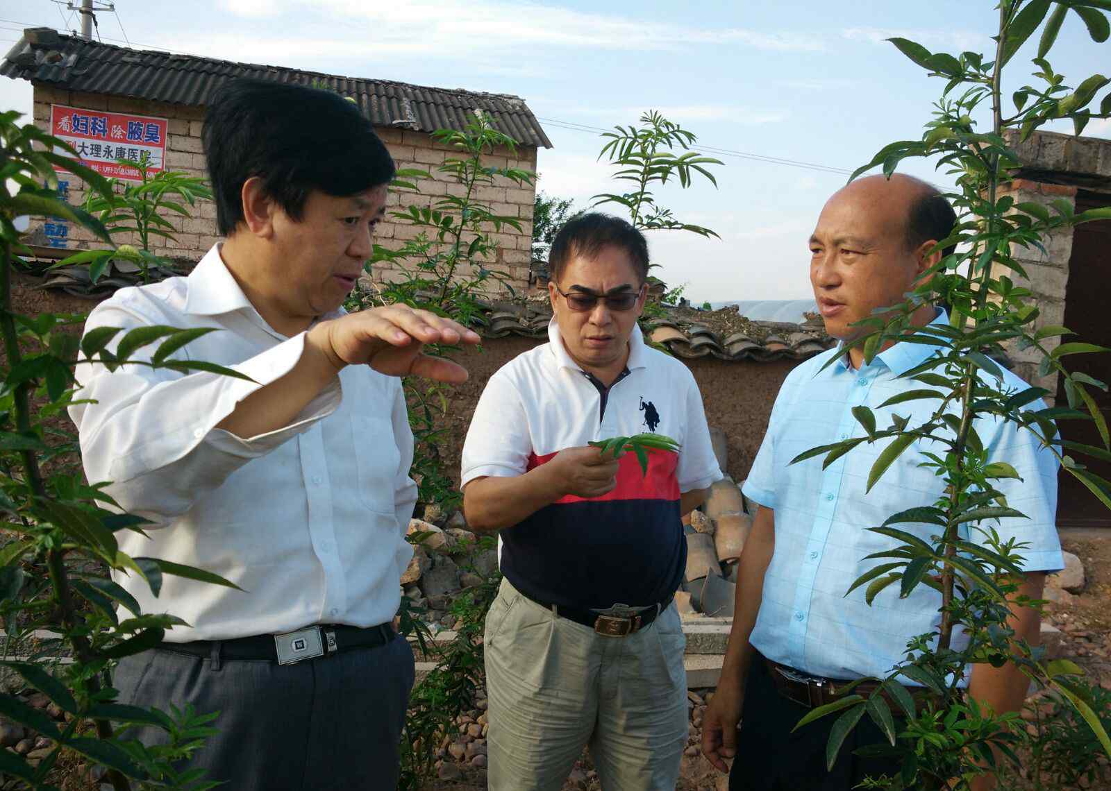 一馬平川 “一馬平川”有機(jī)青花椒品牌簡介