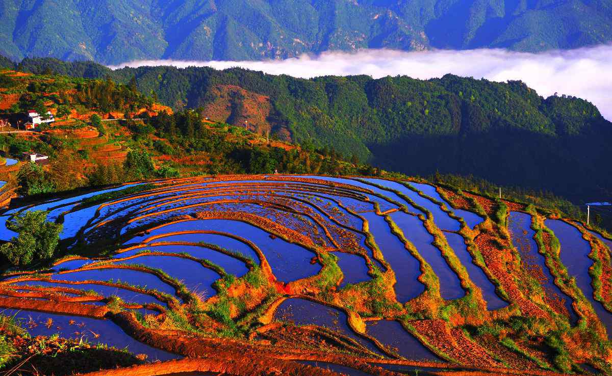 花瑤梯田 美 麗 的 山 背 花 瑤 梯 田