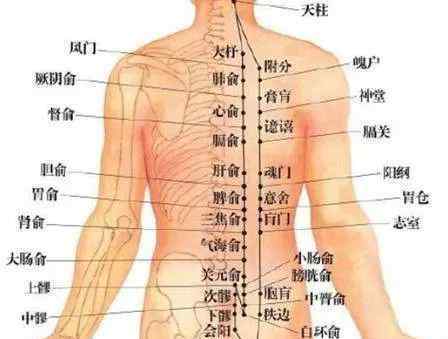 腎虧腎虛針對人體是有一定危害的,許多盆友針對腎精不足怎樣調(diào)