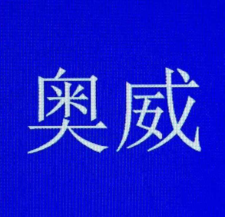 奧威噴繪機(jī) 誰說國產(chǎn)寫真、噴繪機(jī)不行、去年奧威在國內(nèi)銷量就超過了5000臺(tái)！