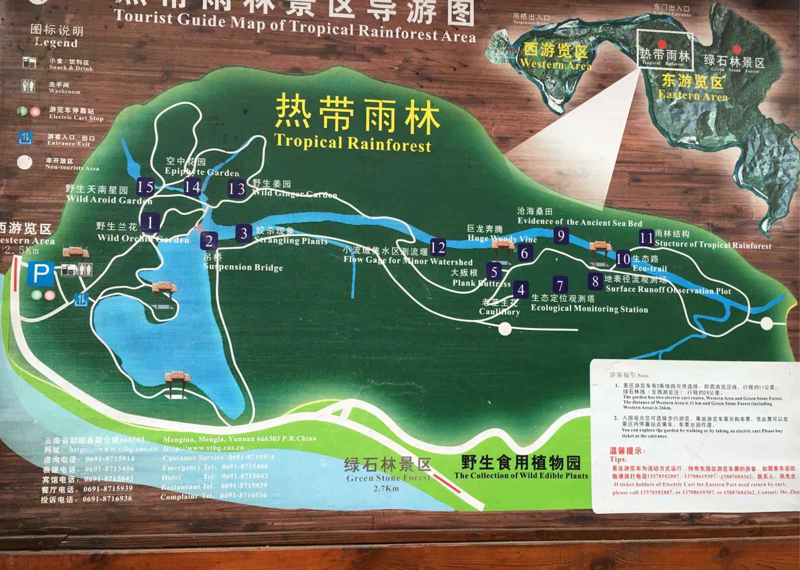 絞殺榕 中國(guó)科學(xué)院西雙版納熱帶植物園——熱帶雨林和綠石林