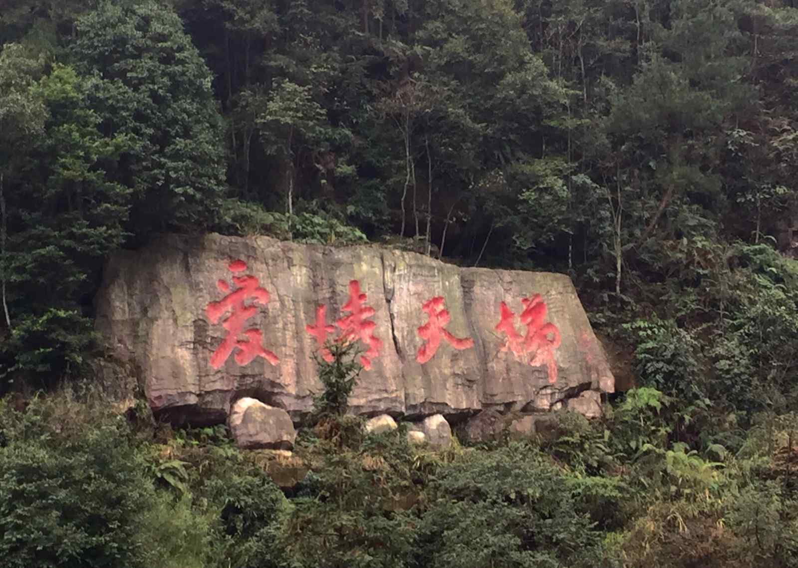 劉國(guó)江和徐朝清 愛(ài)情天梯