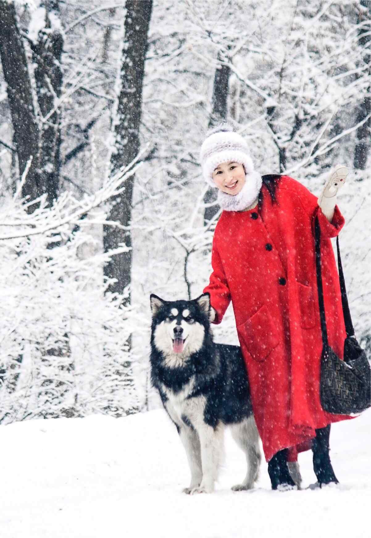 雪舞時(shí)分 雪舞時(shí)分