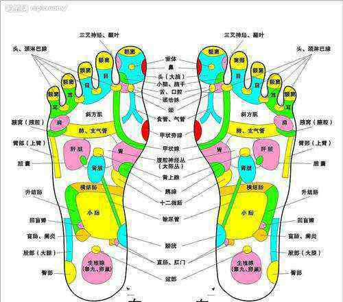 足底疼痛位置圖 腳診圖