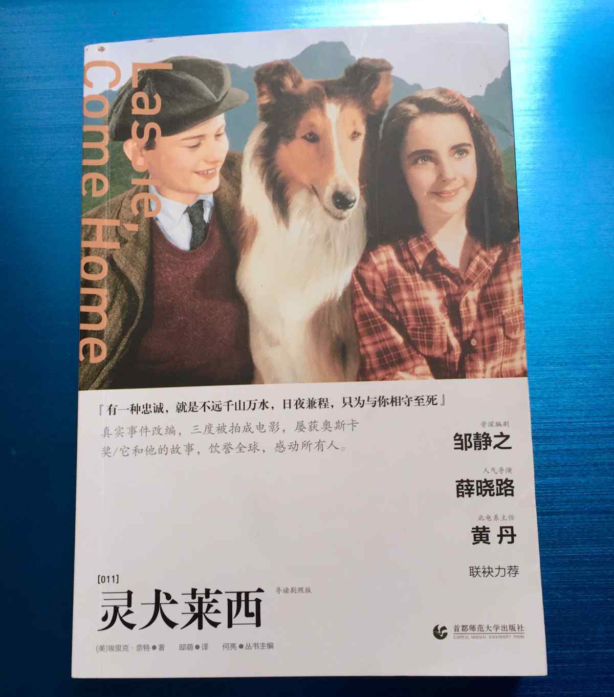 靈犬萊西 《靈犬萊西》－－好書推薦