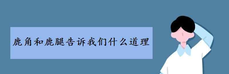 鹿腿和鹿角 鹿角和鹿腿告訴我們什么道理