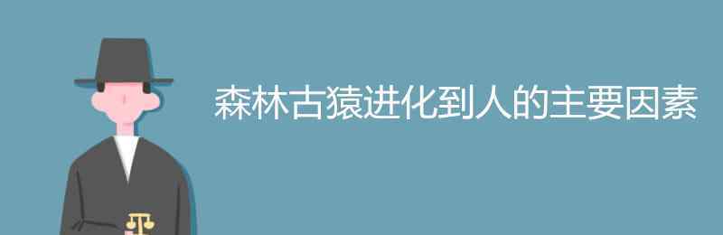 森林古猿 森林古猿進化到人的主要因素