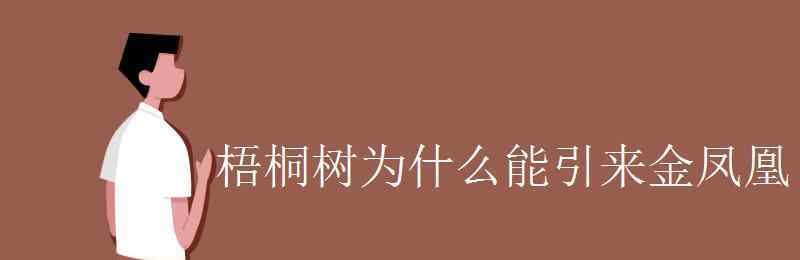 梧桐樹的寓意 梧桐樹為什么能引來金鳳凰