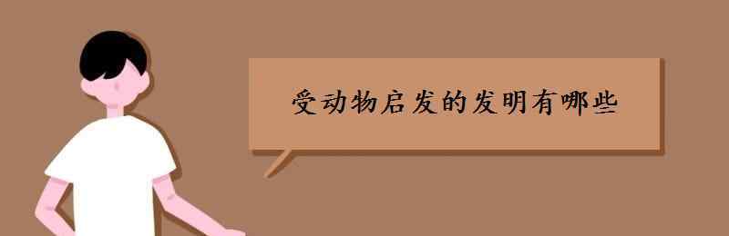 生活中還有哪些發(fā)明是受到了動物的啟發(fā) 受動物啟發(fā)的發(fā)明有哪些