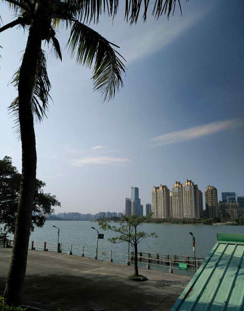 東江沙公園 惠州東江沙公園