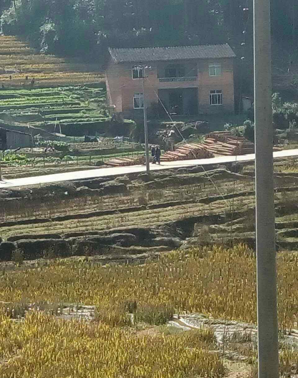 哭泣的森林 大山在哭泣 森林在流淚