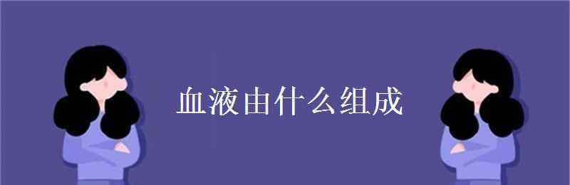 物質(zhì)由什么組成 血液由什么組成