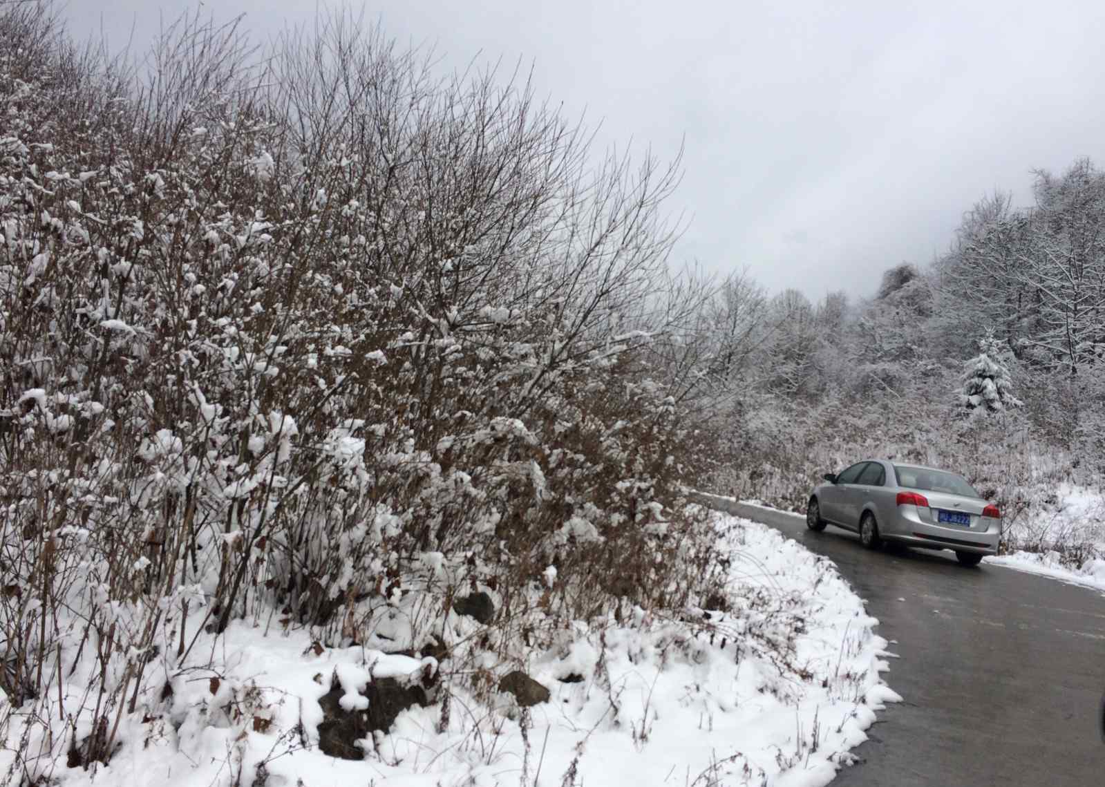 剛才地震了嗎2017今天 2017年2月24日到汶川耿達(dá)鄉(xiāng)看雪，巴適，玩得開心！第二天早上3點24分發(fā)生4.4級地震嚇壞了、