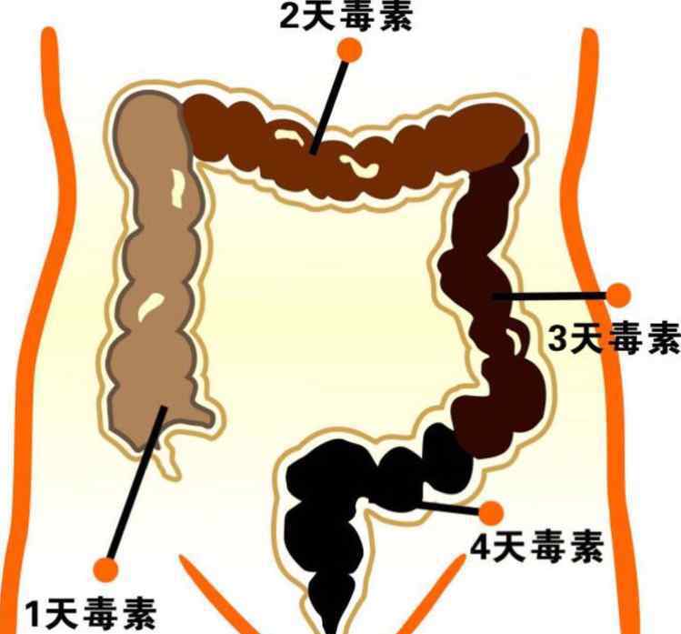 辣木籽致癌 排毒清腸--酵素果凍