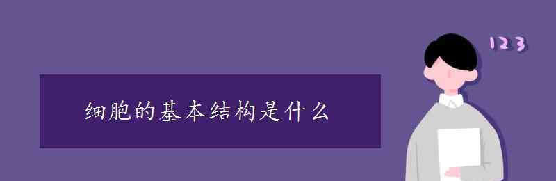 沒是什么結(jié)構(gòu) 細胞的基本結(jié)構(gòu)是什么