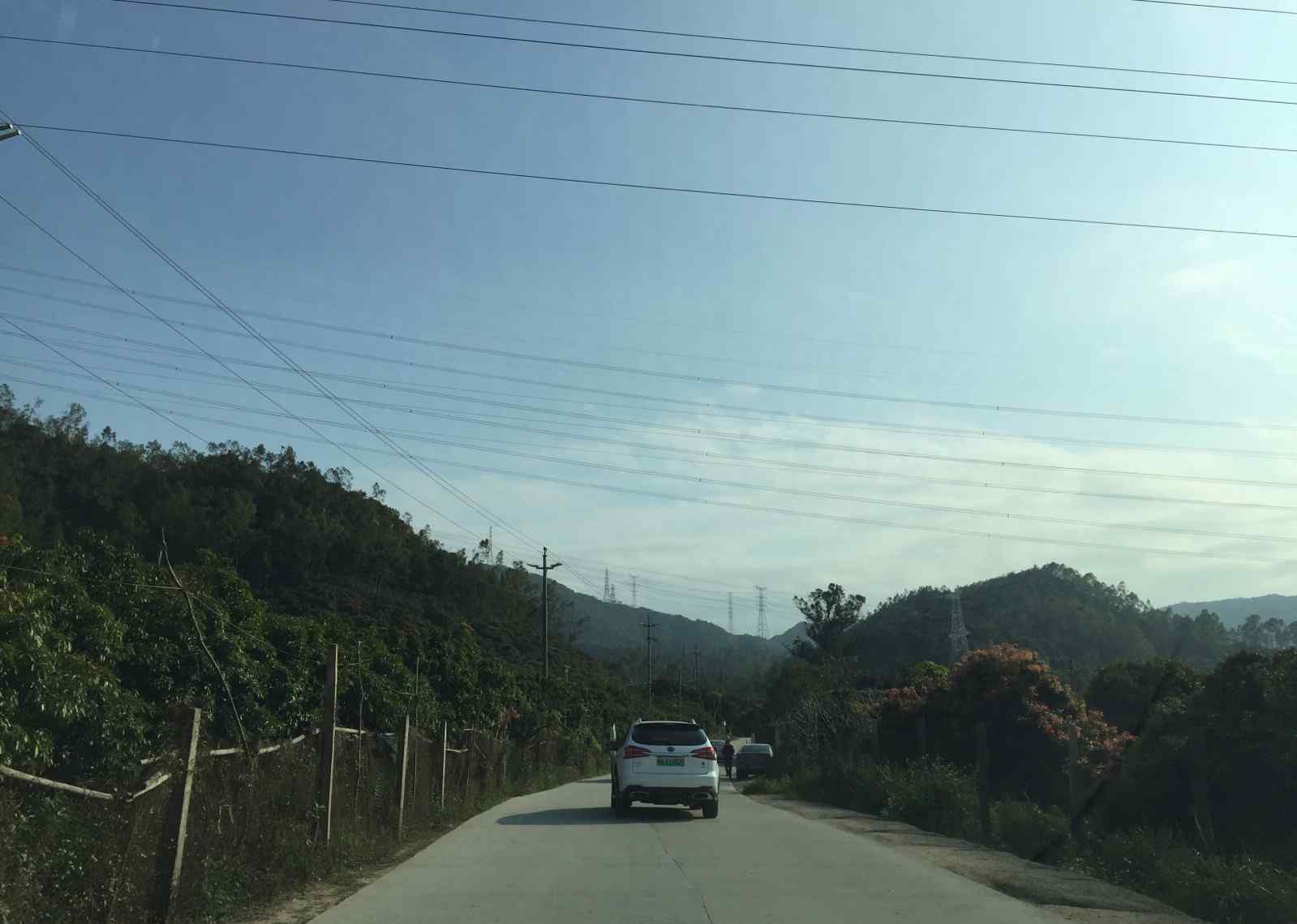 馬巒山郊野公園 馬巒山郊野公園游記